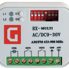 Приемник универсальный внешний 2-канальный Gant RX Multi